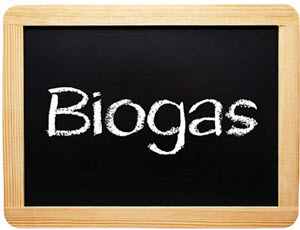 biogas